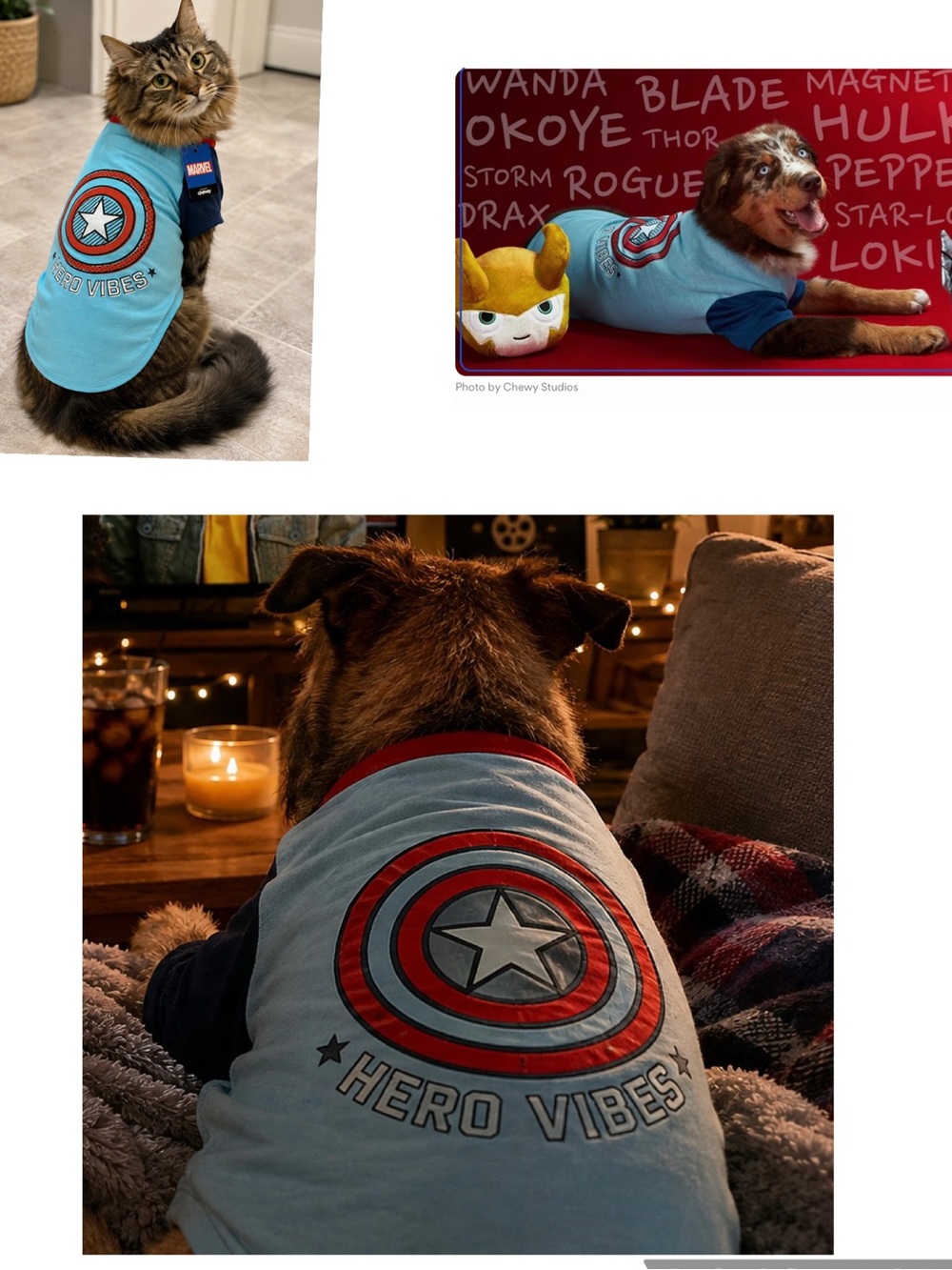 Marvel Captain America Hero Vibes Pet T-Shirt XL NWT Chewy